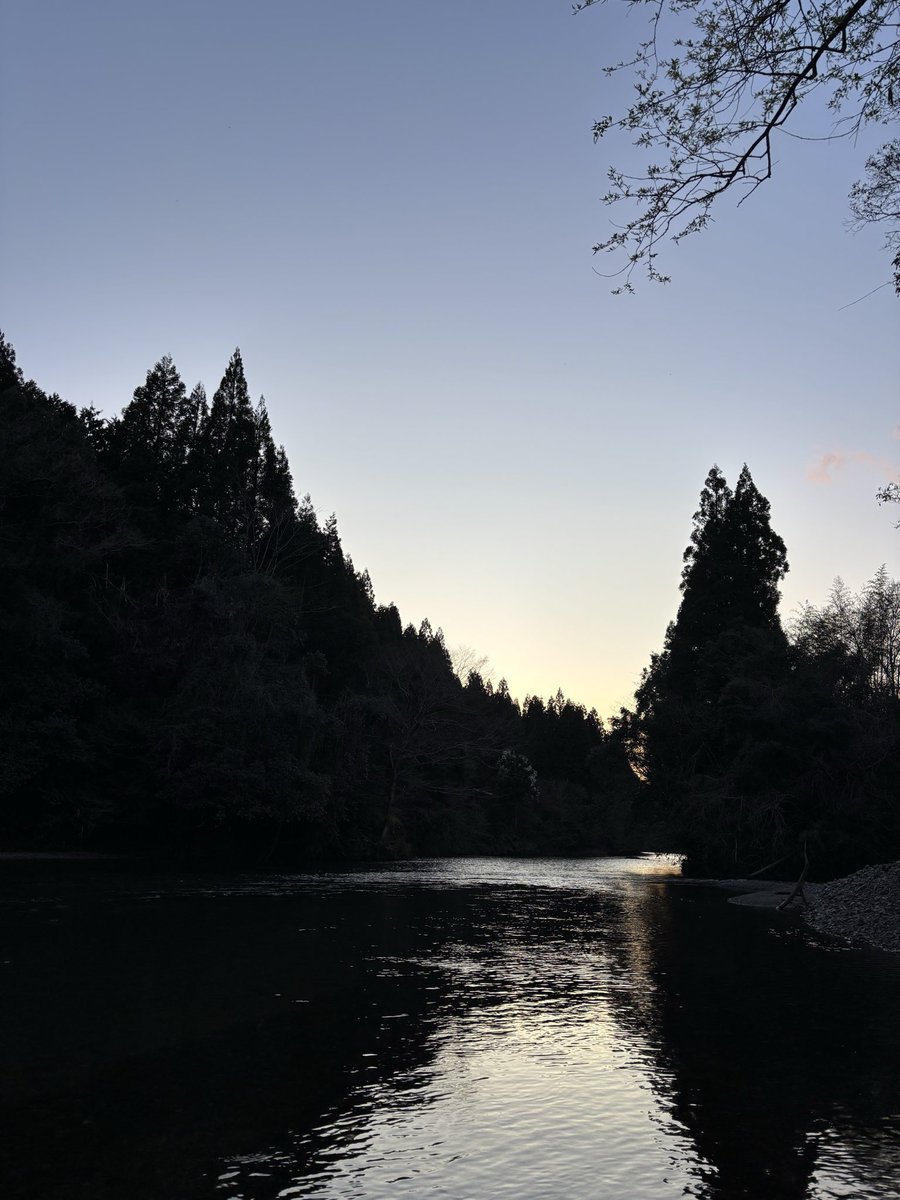 Umepo1's tweet photo. 子供に花筏って何？って聞かれた翌日に現物見れるってタイミング良すぎ。

はぁ、綺麗。 https://t.co/MWqEDK6TYe