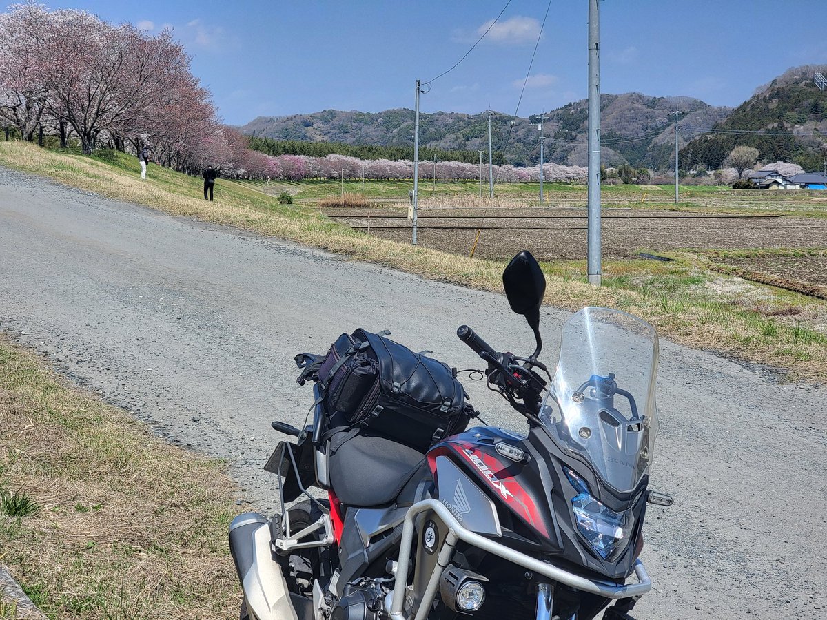 FujisanZ's tweet photo. 花見なう。 https://t.co/9POQf1P71S