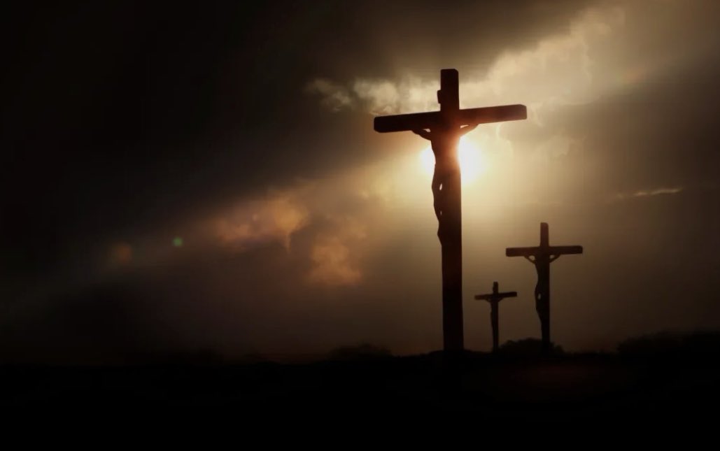 Supriya Bhardwaj tweet media