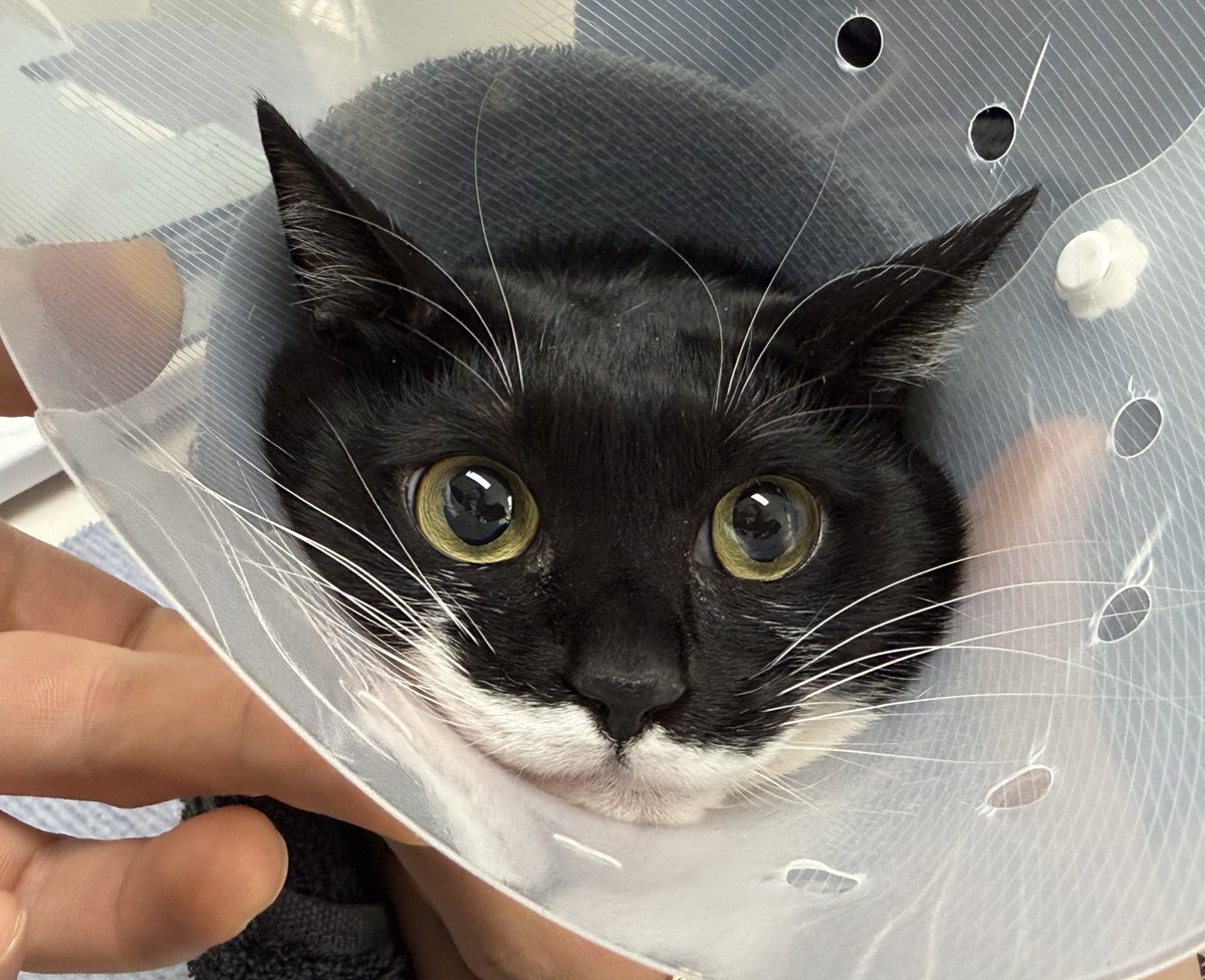 효녀가수 tweet media