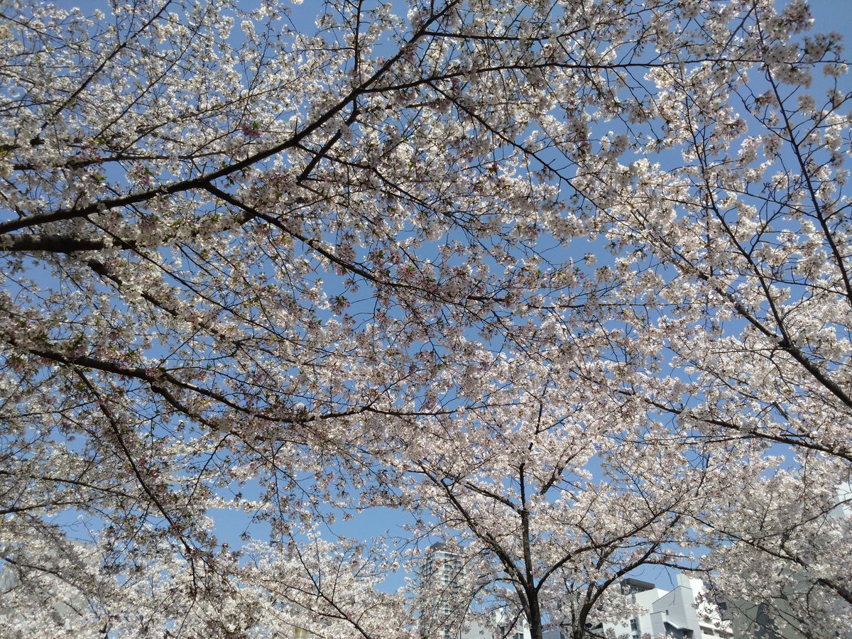 のぶりん tweet media