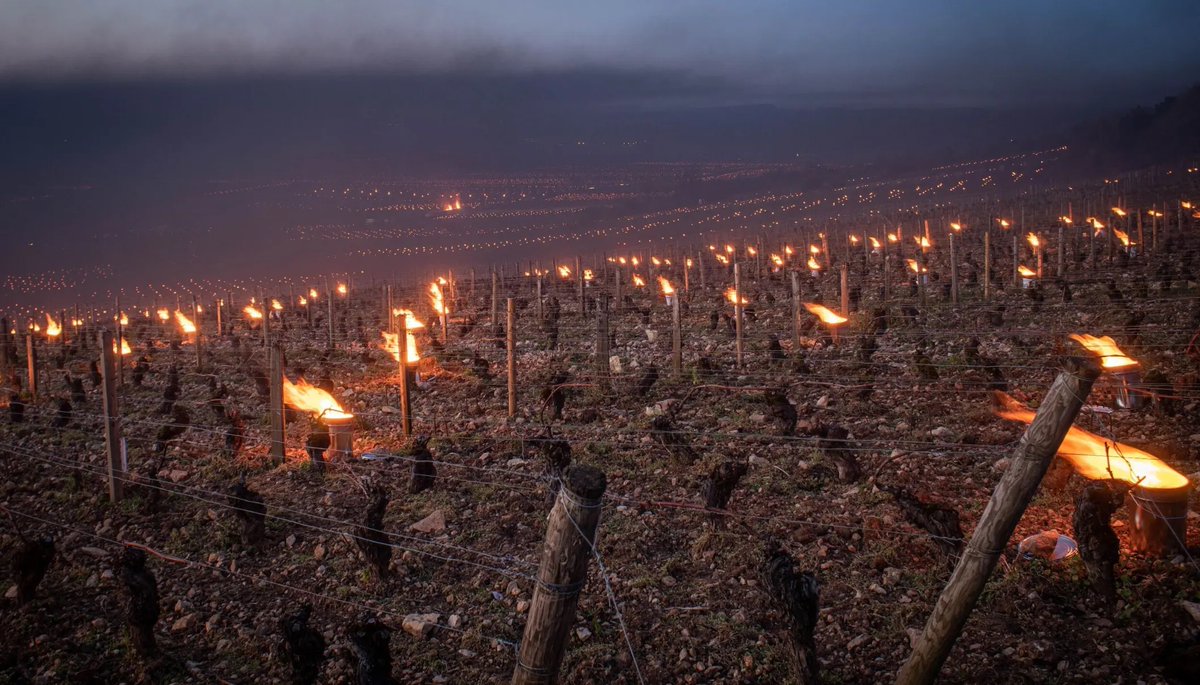 Electroverse tweet media