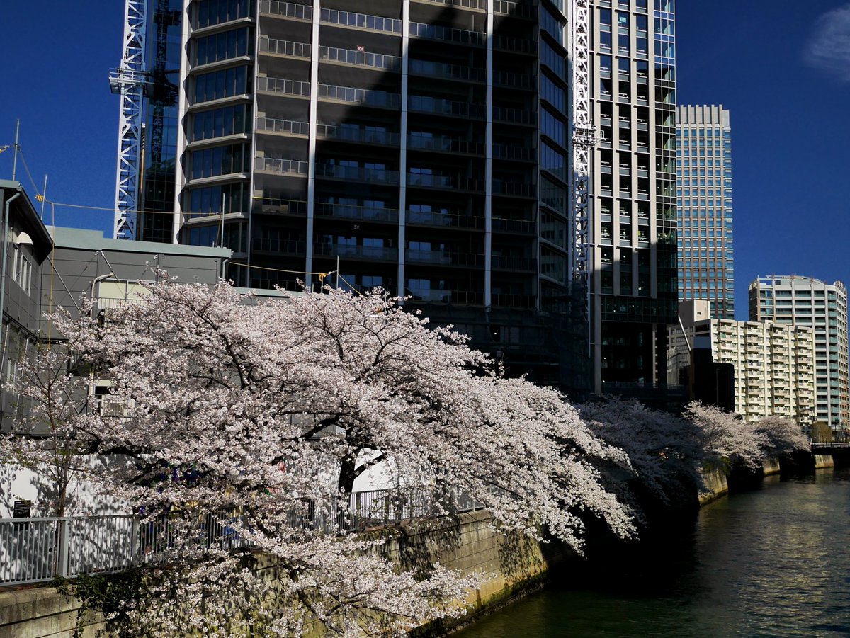 jiro@Tetsusonic tweet media