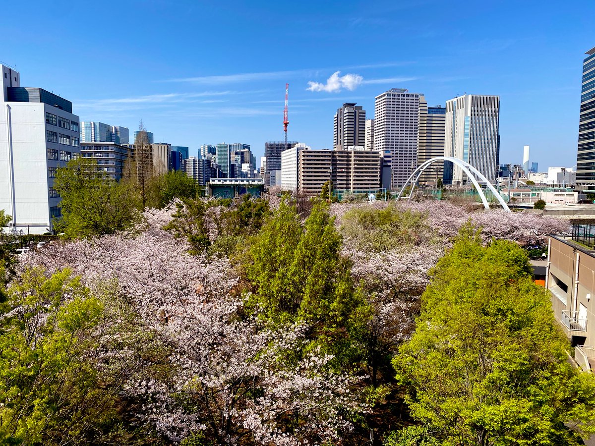 jiro@Tetsusonic tweet media