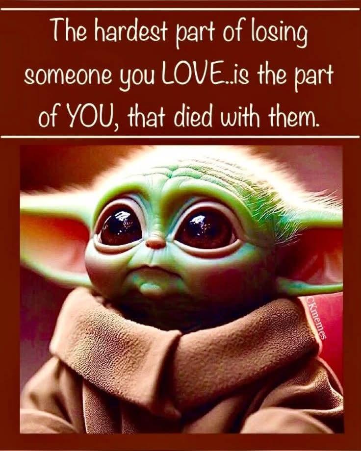 ChrisCsd1's tweet image. #Life #Loss #Reflection