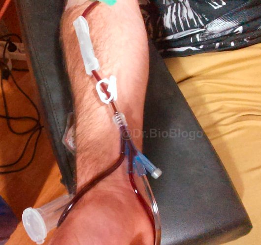 Dr. BioBlogo tweet media