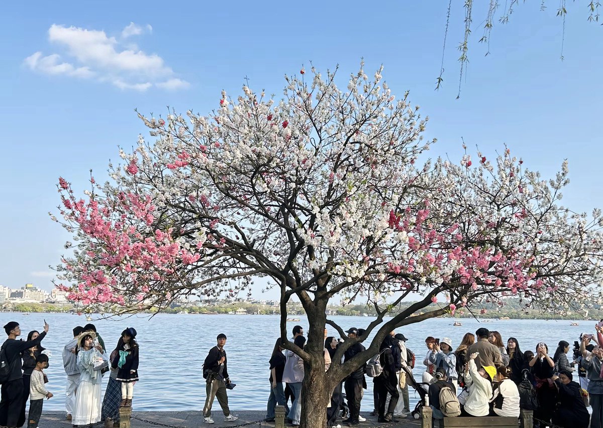 CryptoCat|猫姐🐈 tweet media