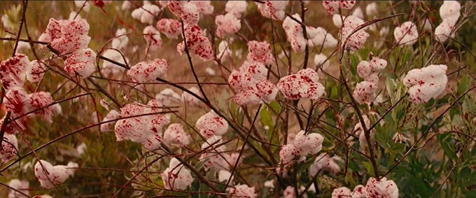 Stephen Gibbons tweet media