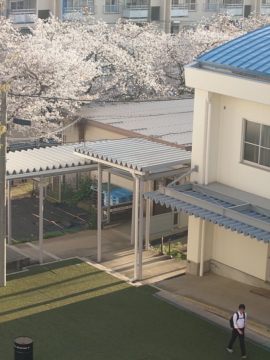 九曜社👉次回『スクールアフタースクール3』 tweet media