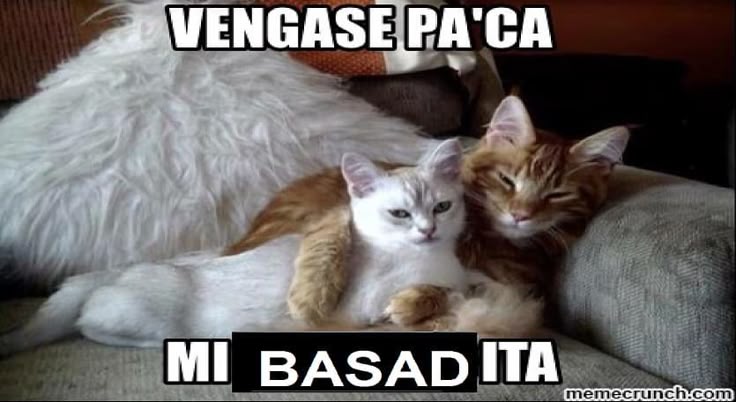 danicidio u.u tweet media