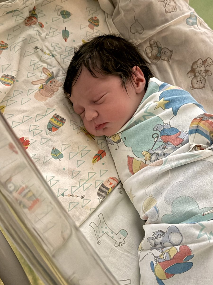 Маузер Котовского🕊🤍 tweet media