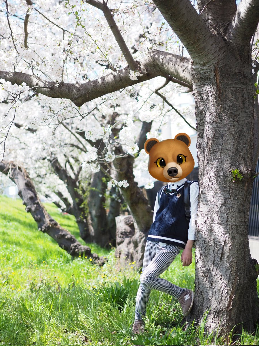 わたあめ@全力メガンテ👴🍭 tweet media