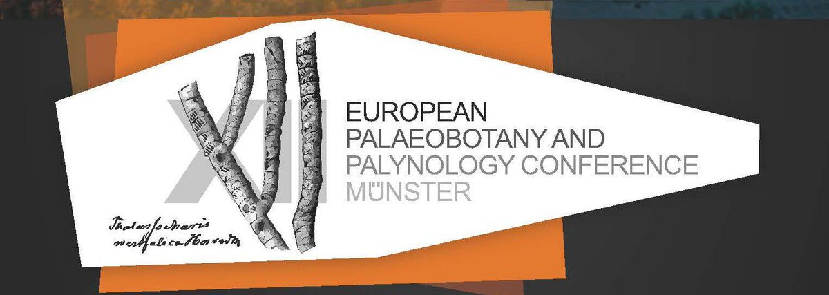 Carlos Góis-Marques tweet media