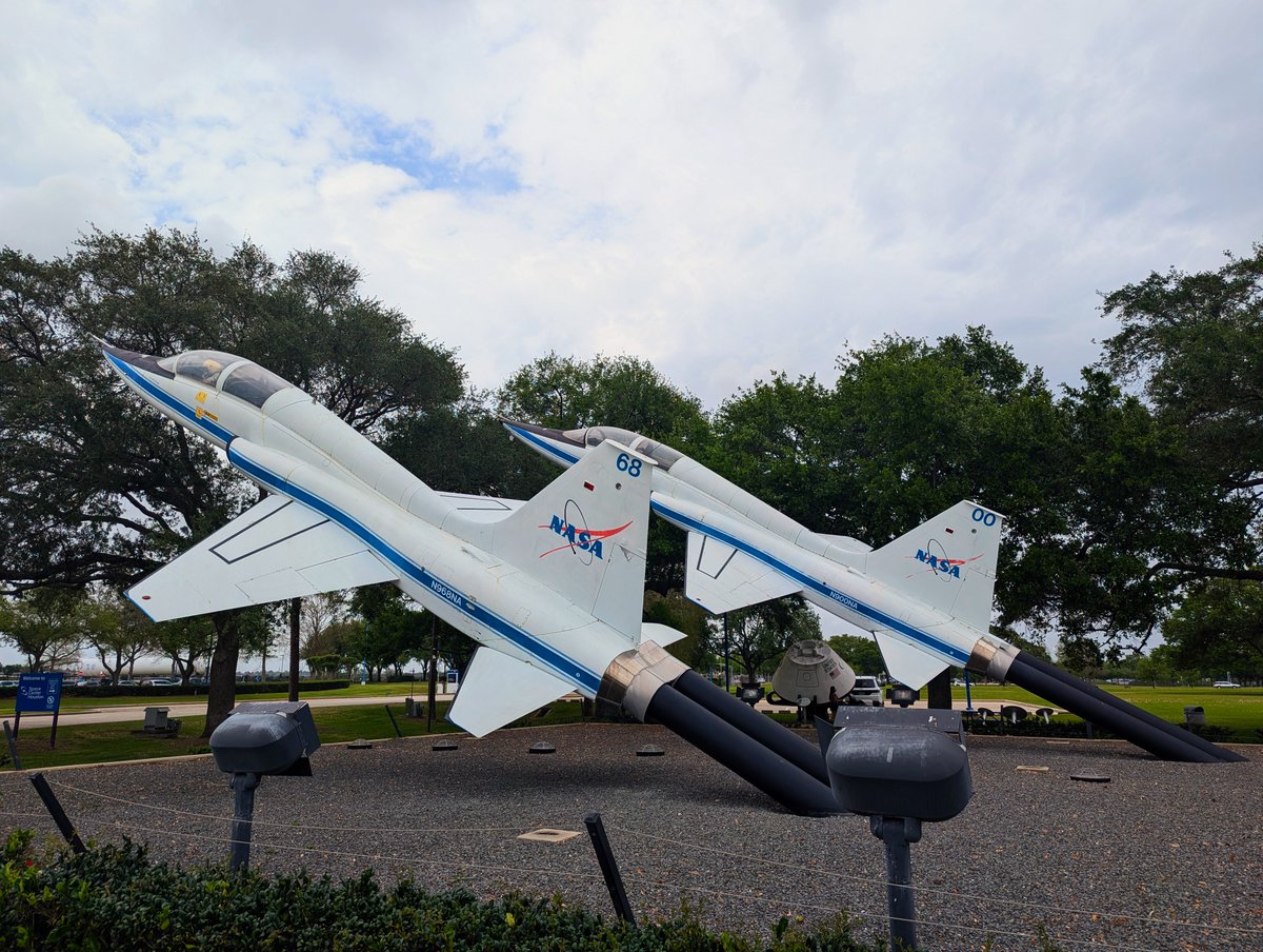 帆立 Hotate/Scallop tweet media