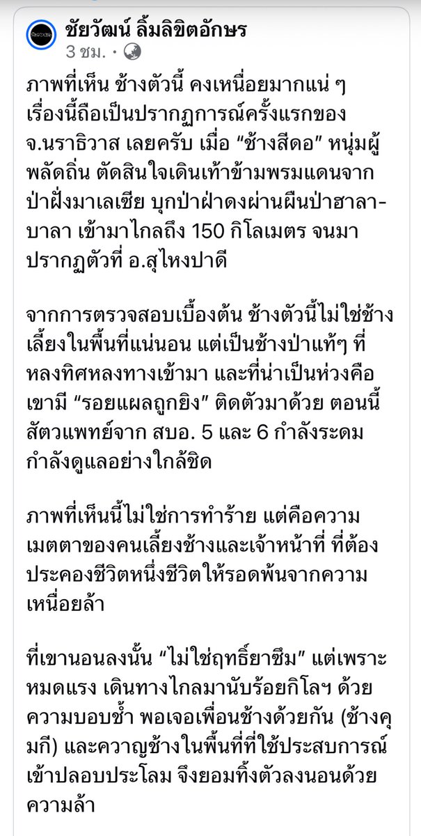 GolfyTT☕ tweet media