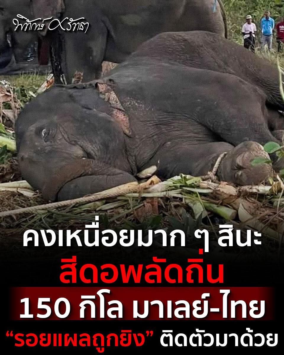 GolfyTT☕ tweet media