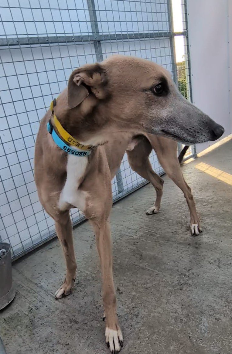 Terry Punter tweet media