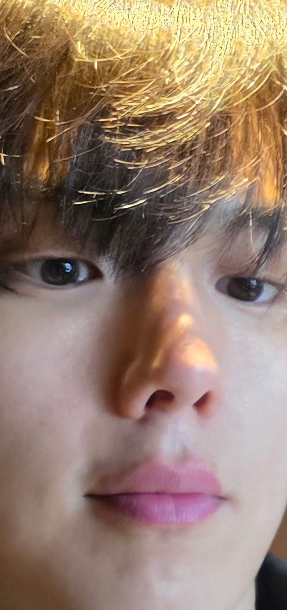 파트라슈 🎗 tweet media