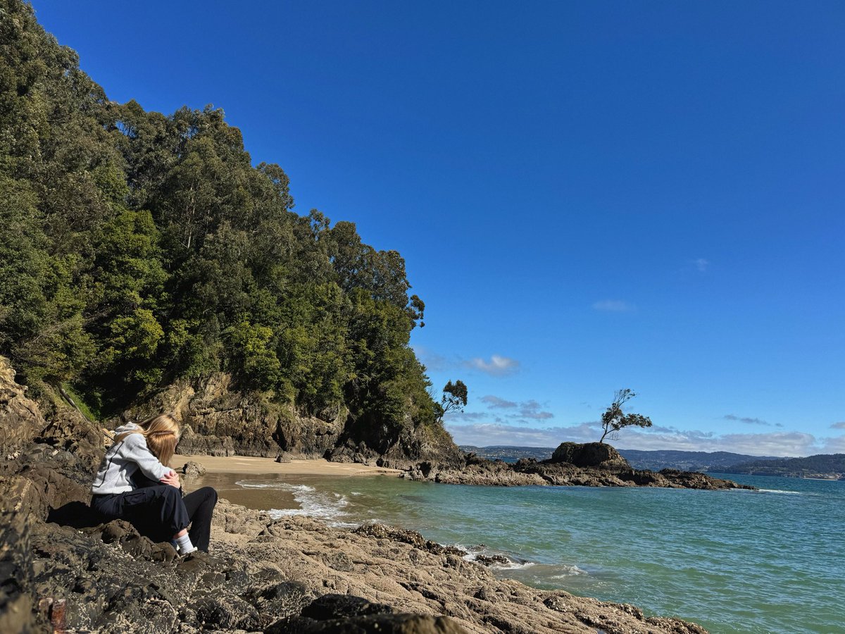 Per aspera ad astra tweet media