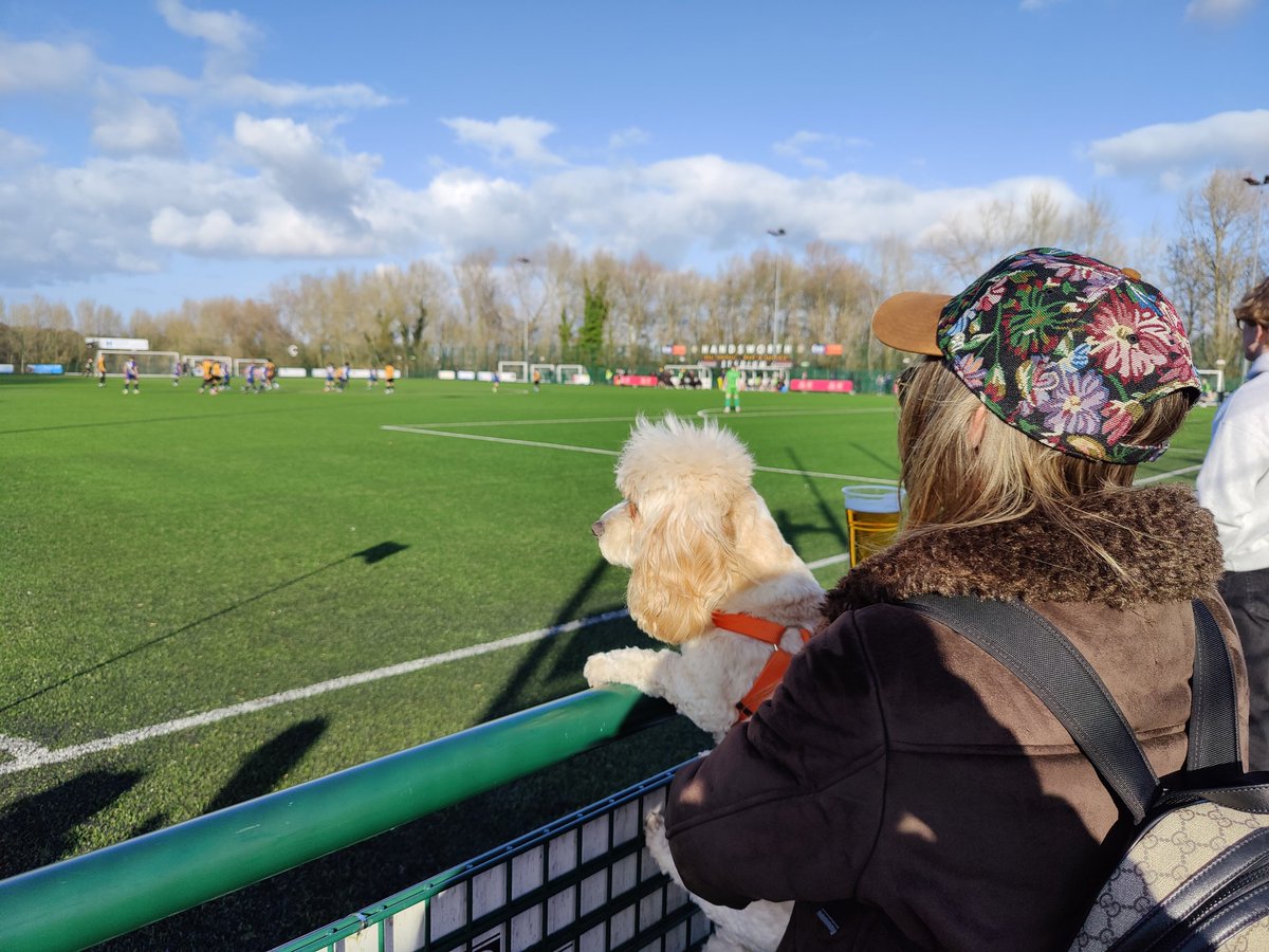 blueray71's tweet photo. 28/3/26 @nonleaguedayuk at Olivers Mount, Sheffield.

@Handsworth_FC 2 - 0 @BottesfordTown.

Even though it doesn't look like it 'Cookie' dog enjoyed @Handsworth_FC win with only 10 men for 80+ mins.

Attendance 227, 2 dogs.

@nonleaguedogs @NCEL #nonleaguefootball #nonleague https://t.co/vXDg7Jln3U