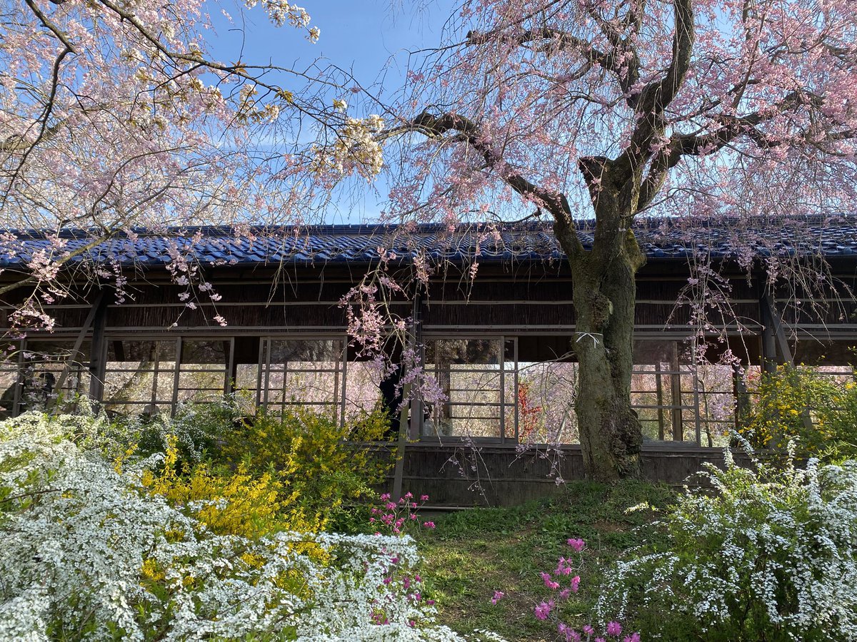 猫尾 かおり tweet media