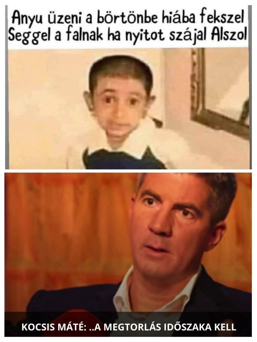 elkesetthusvetinyul tweet media