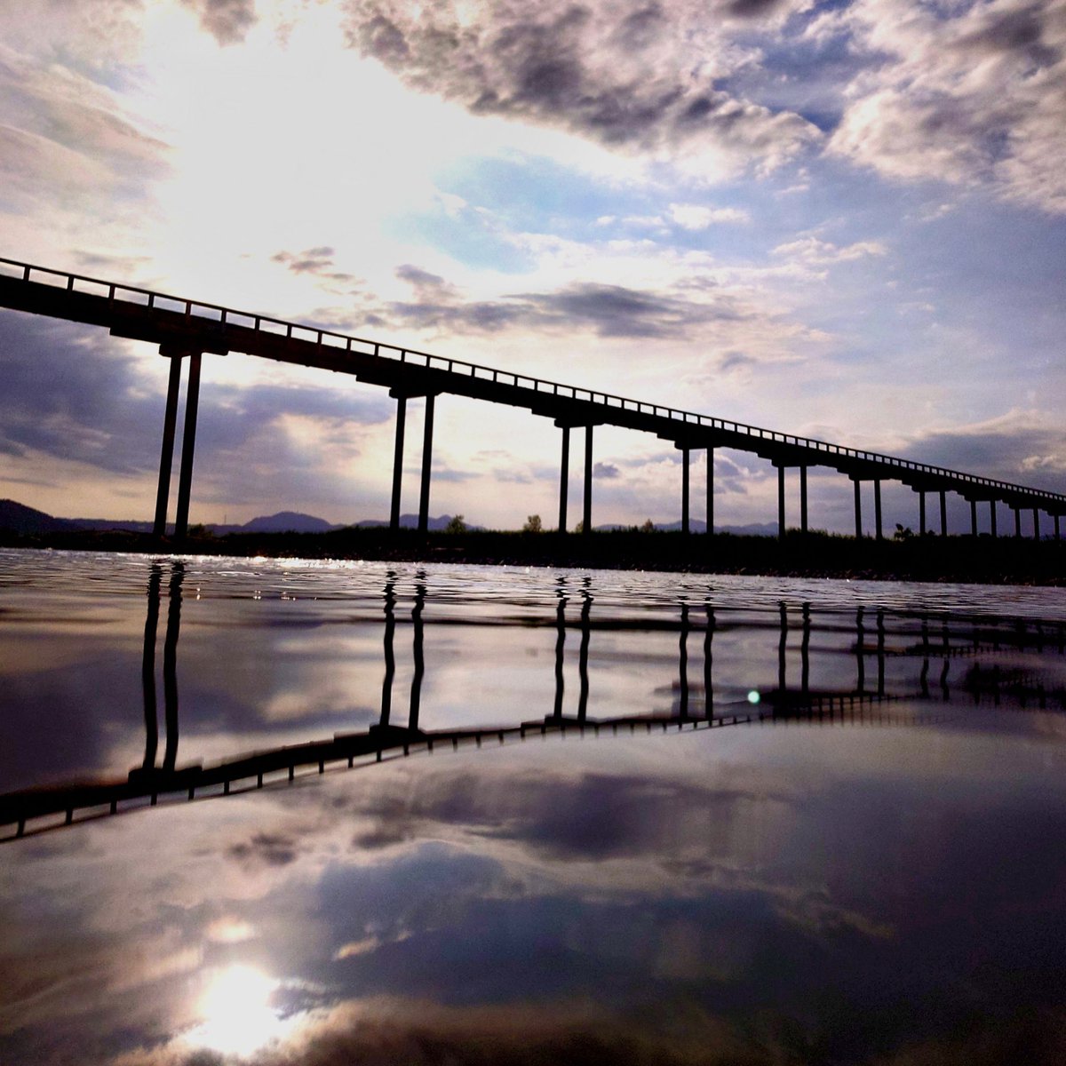 島田市【公式】 tweet media