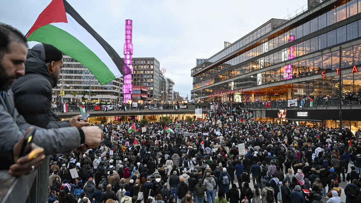 Chauvini 🇸🇪 tweet media