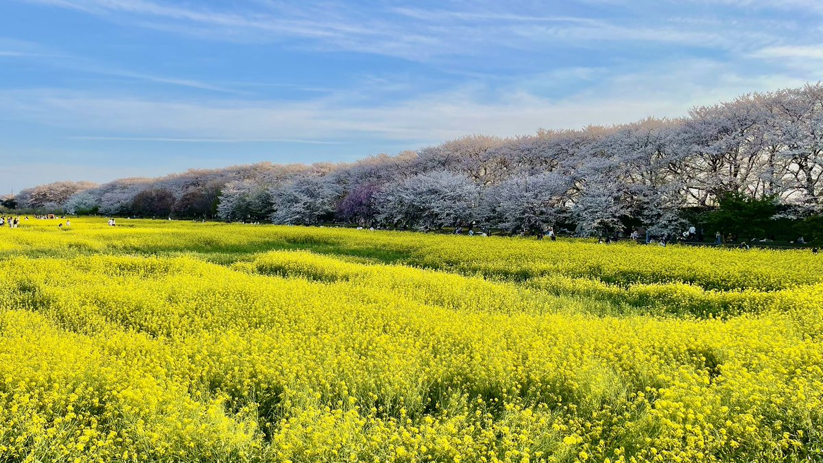 ｫﾑT=з宀 tweet media