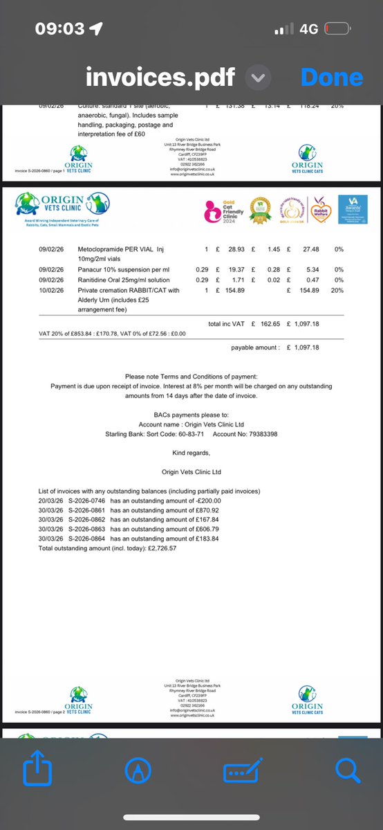 Carrot Cottage Rabbit Rescue tweet media