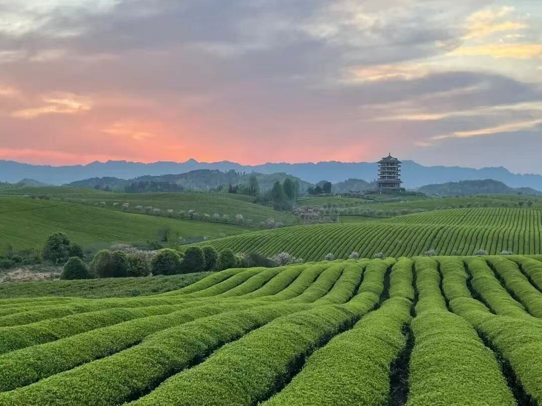 Fun ZunYi tweet media