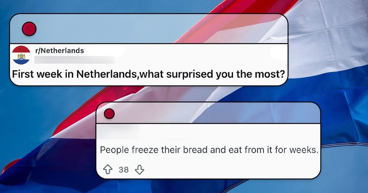 No Context Dutch 🇳🇱 tweet media