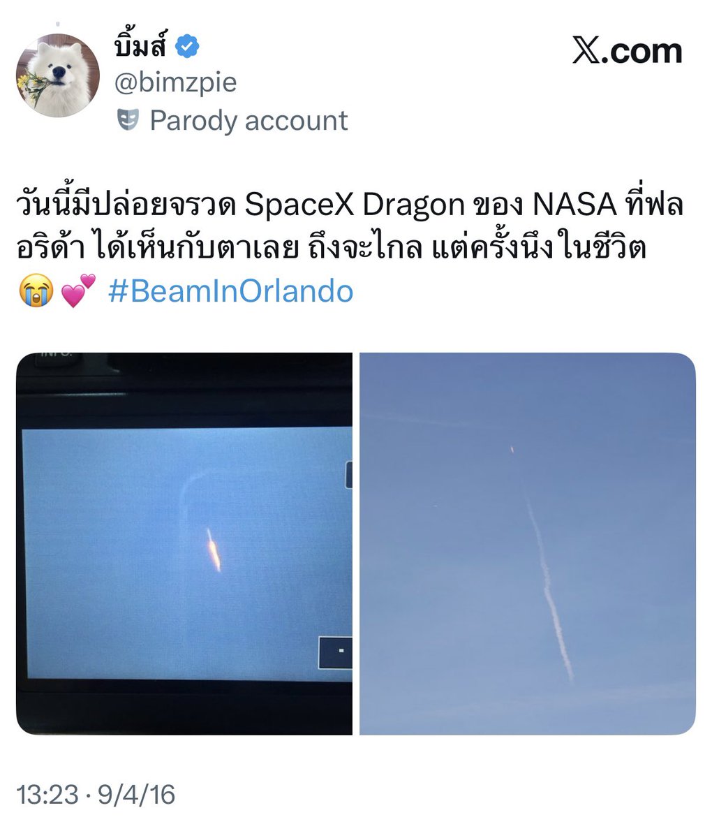 บิ้มส์ tweet media