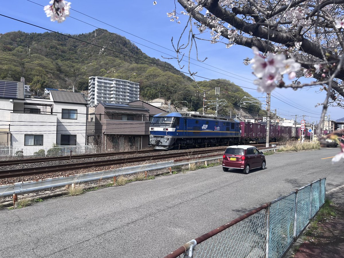 釈迦釈迦ポテト🍟【鯉党】 tweet media