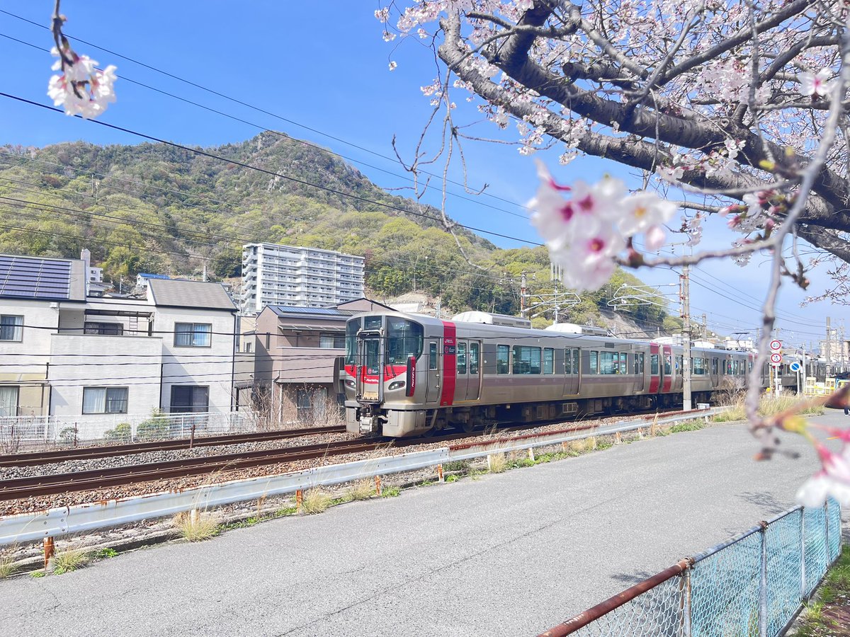 釈迦釈迦ポテト🍟【鯉党】 tweet media