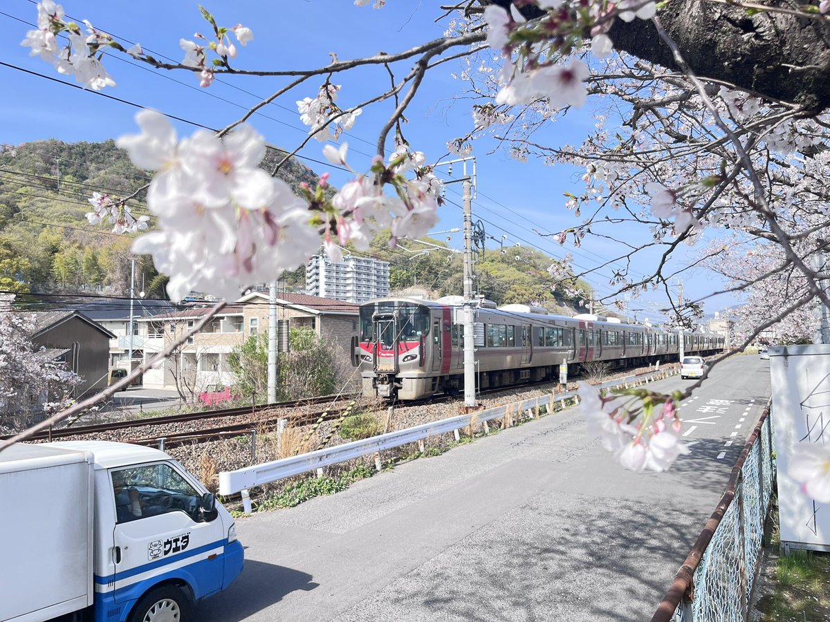 釈迦釈迦ポテト🍟【鯉党】 tweet media