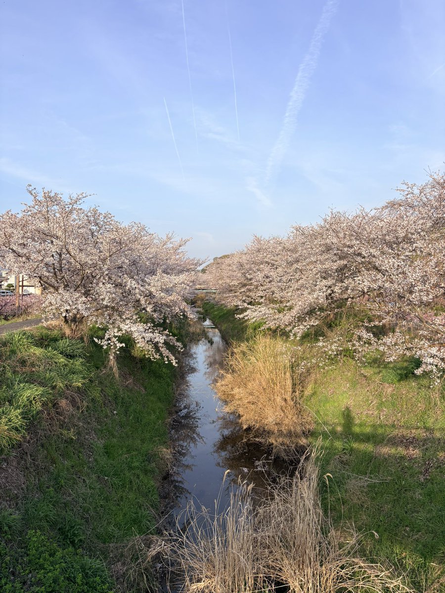 Takyaen's tweet photo. 違う角度から https://t.co/CFGW5EuqU7