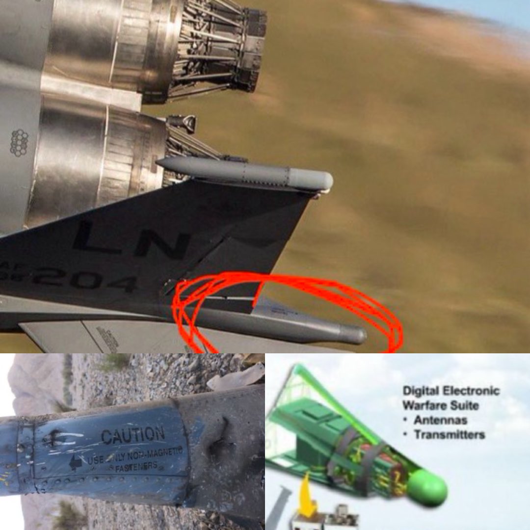 Lord Bebo tweet media