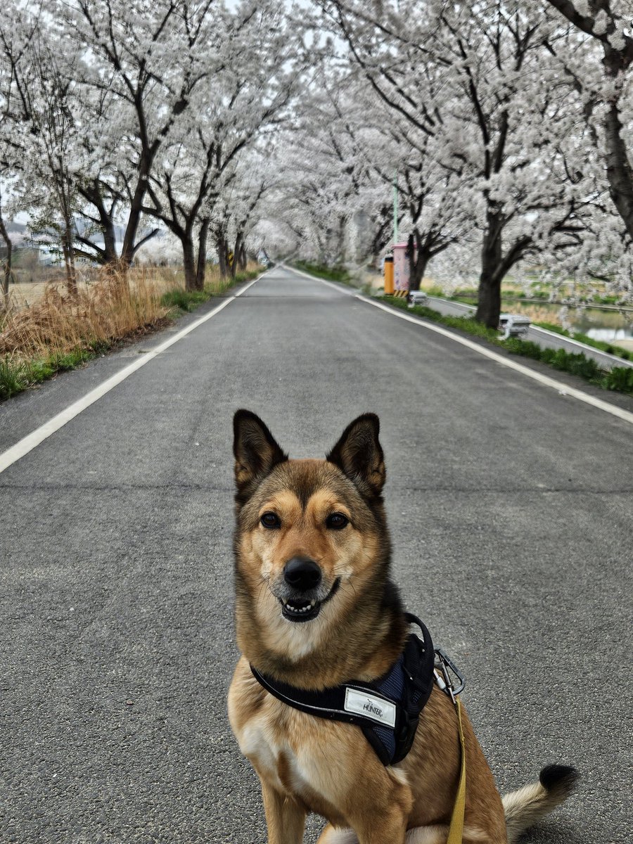 ํ ๋ก tweet media