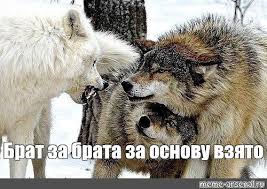 40літній чоловік tweet media