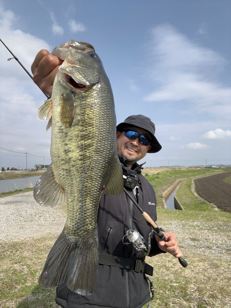 JACKALL BASS FISHING tweet media