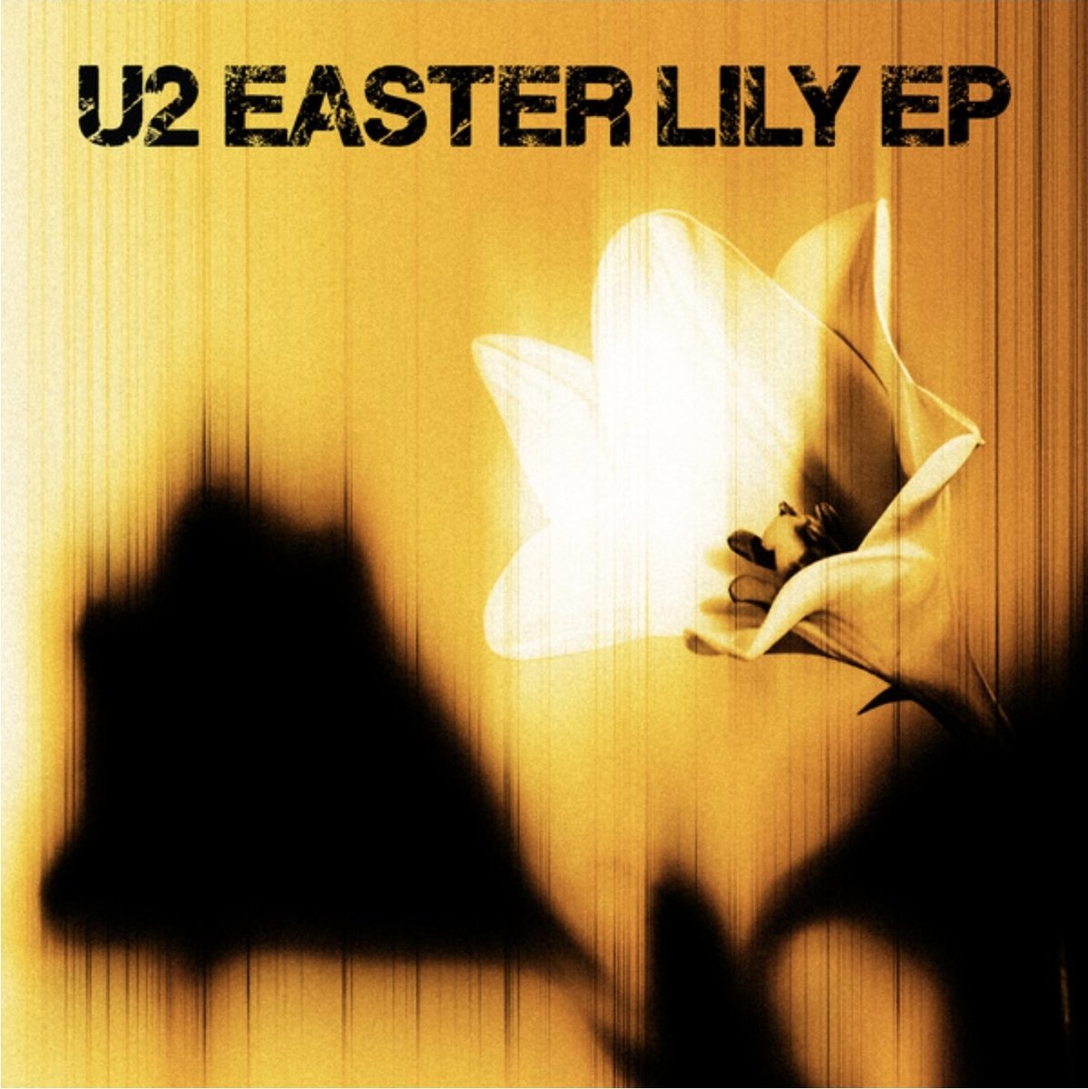NEW MUSIC AGAIN

Good Friday indeed hey?

My very first listen, and Easter Paraden is the first to grab me. No doubt the rest will follow.

<a href="/U2/">U2</a> <a href="/U2Community/">U2Community</a>