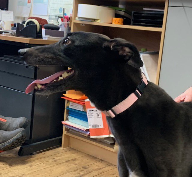 Terry Punter tweet media