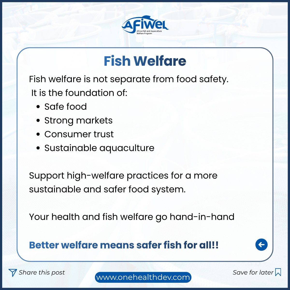 afiwelprogram's tweet photo. https://t.co/ZscZzvvj6N