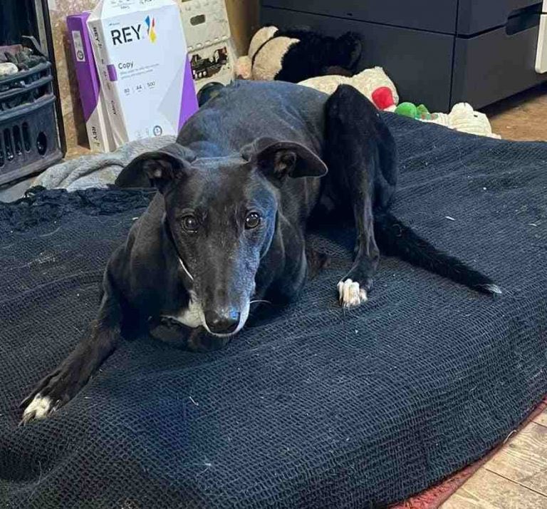 Terry Punter tweet media