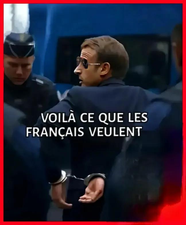 marc mooz 🇨🇵❤️❤️ tweet media