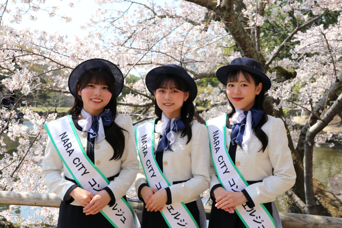 NARA CITY コンシェルジュ tweet media