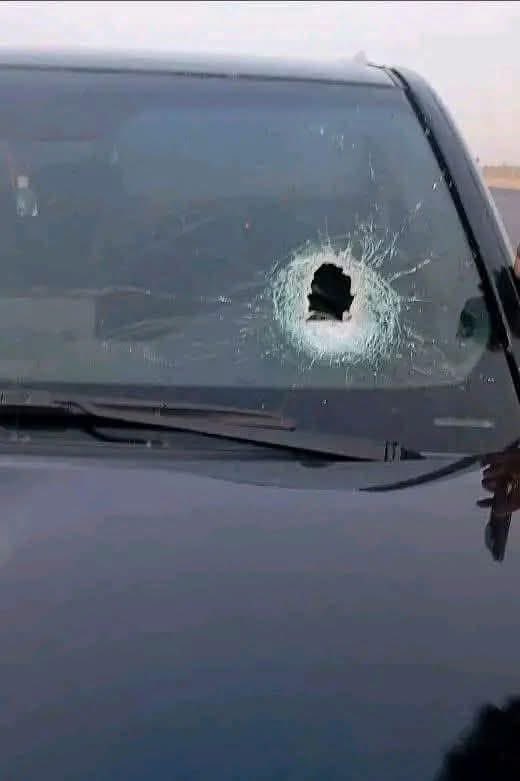 PATRIOTIC SOJA ($TSIR-MUNCHAN) tweet media