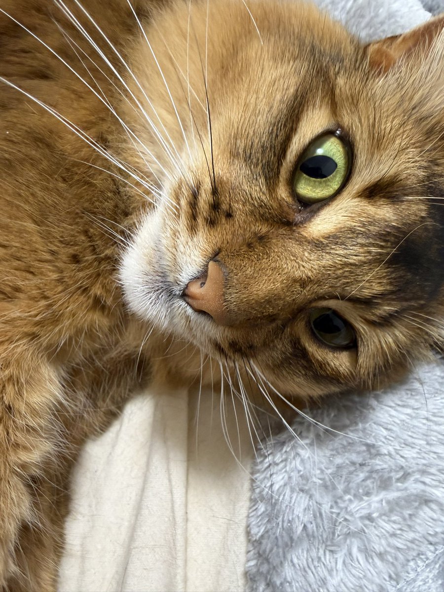 ナツオ tweet media