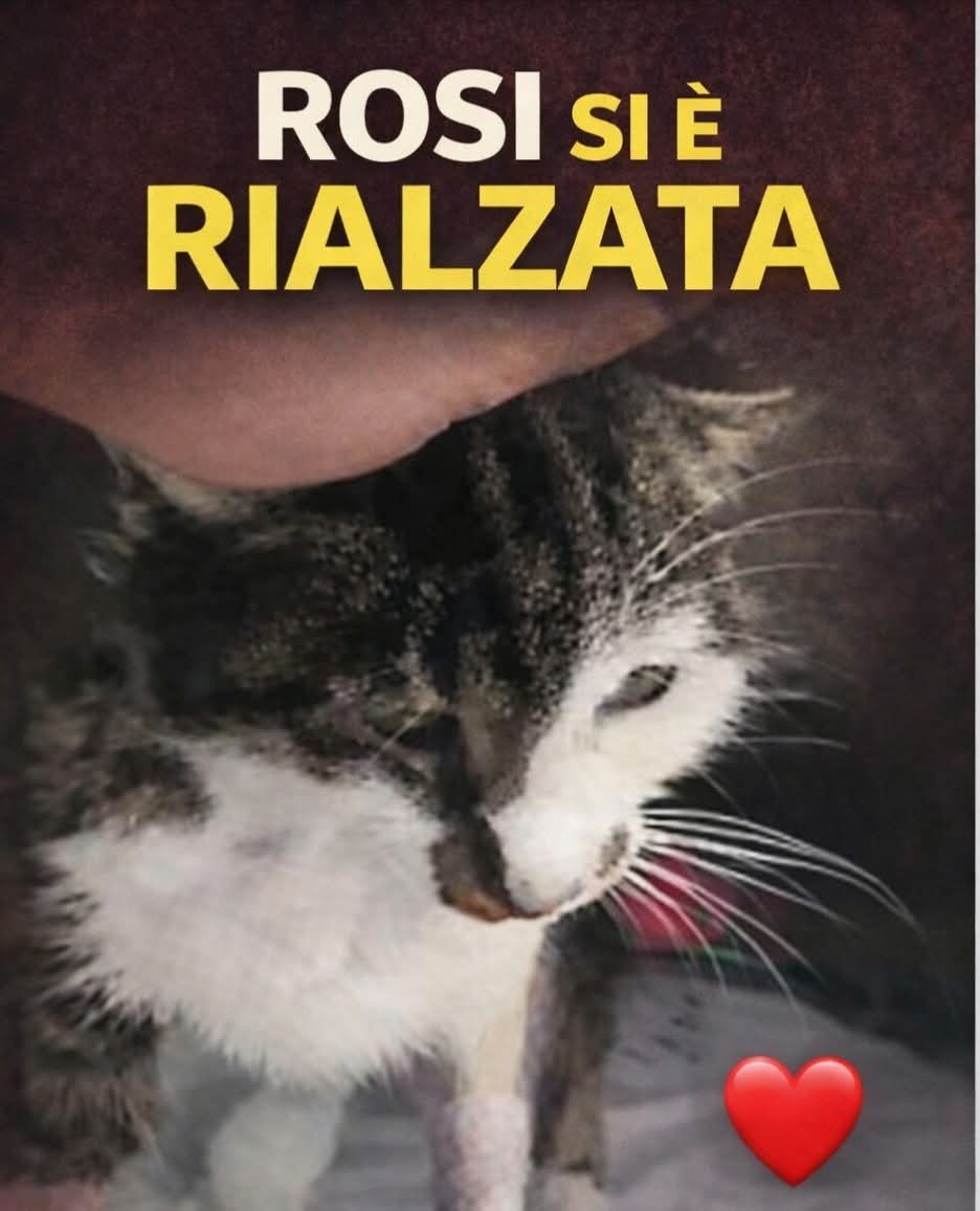 Patrizia💙 tweet media